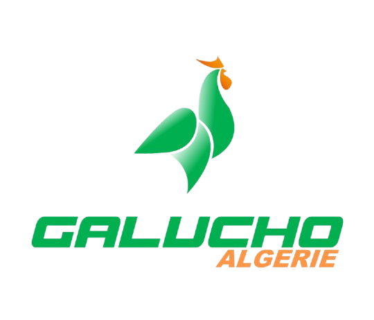 New MMAEP logo galucho algerie